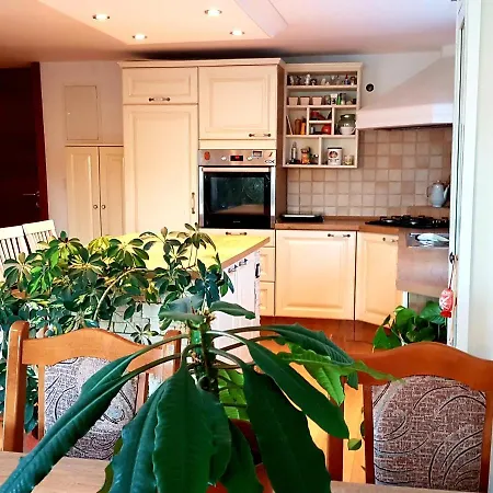Mayda Apartament *