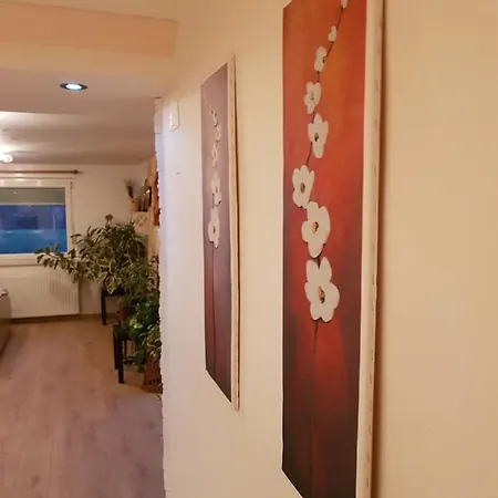 Mayda Apartman